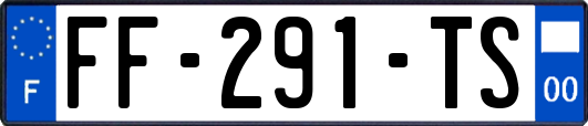FF-291-TS