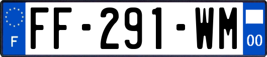 FF-291-WM
