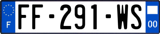 FF-291-WS