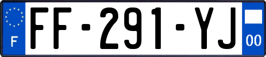 FF-291-YJ