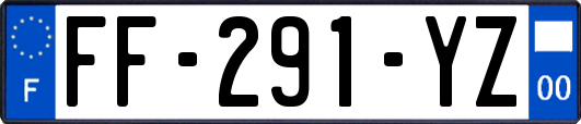 FF-291-YZ