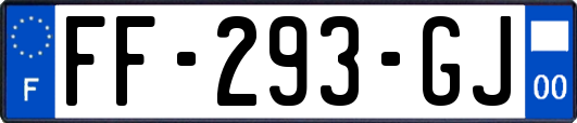 FF-293-GJ