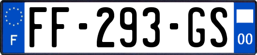 FF-293-GS