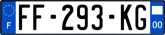 FF-293-KG