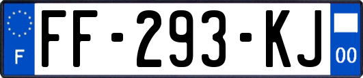 FF-293-KJ