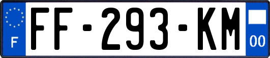 FF-293-KM