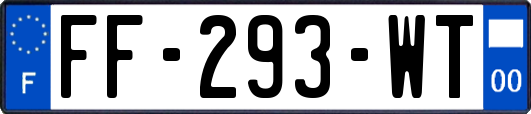 FF-293-WT