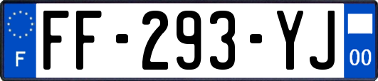 FF-293-YJ