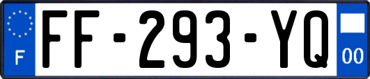 FF-293-YQ