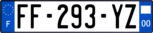 FF-293-YZ