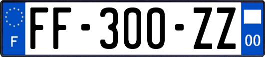 FF-300-ZZ