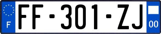 FF-301-ZJ