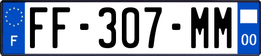 FF-307-MM