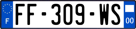 FF-309-WS