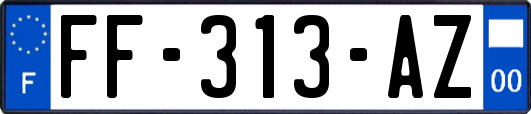 FF-313-AZ