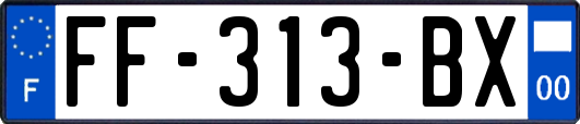 FF-313-BX