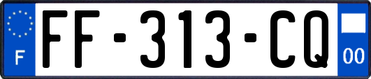 FF-313-CQ