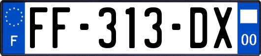 FF-313-DX