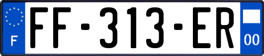 FF-313-ER
