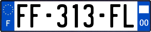FF-313-FL