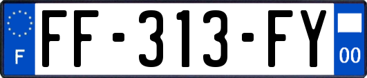 FF-313-FY