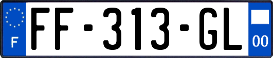 FF-313-GL