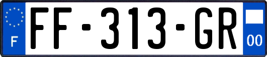 FF-313-GR