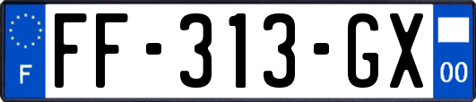FF-313-GX