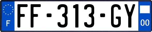 FF-313-GY