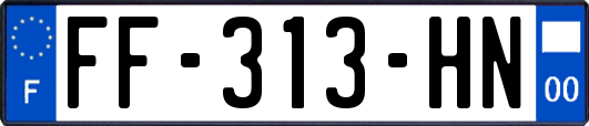 FF-313-HN