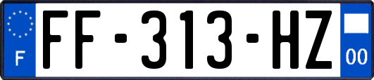 FF-313-HZ