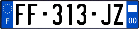 FF-313-JZ