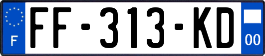 FF-313-KD