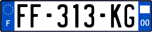 FF-313-KG