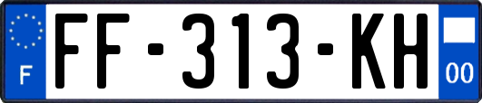 FF-313-KH