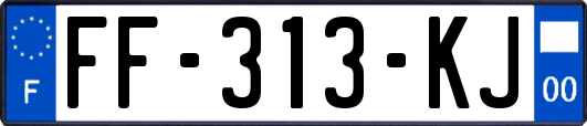 FF-313-KJ