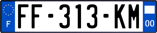 FF-313-KM