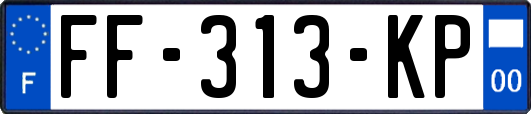 FF-313-KP