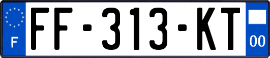 FF-313-KT