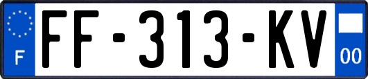 FF-313-KV