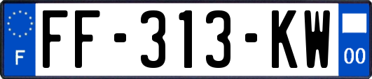 FF-313-KW