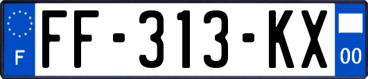 FF-313-KX