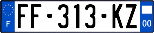 FF-313-KZ