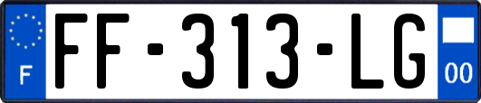 FF-313-LG