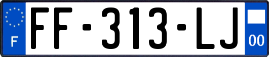 FF-313-LJ