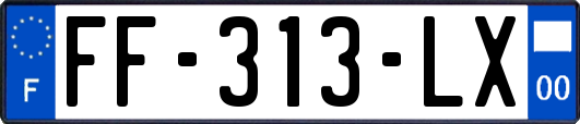 FF-313-LX