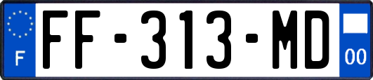 FF-313-MD