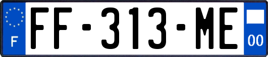 FF-313-ME