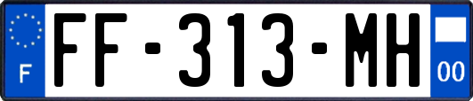 FF-313-MH