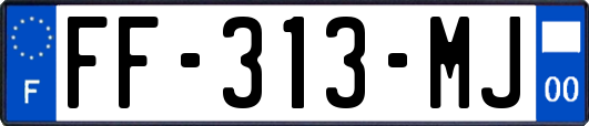 FF-313-MJ